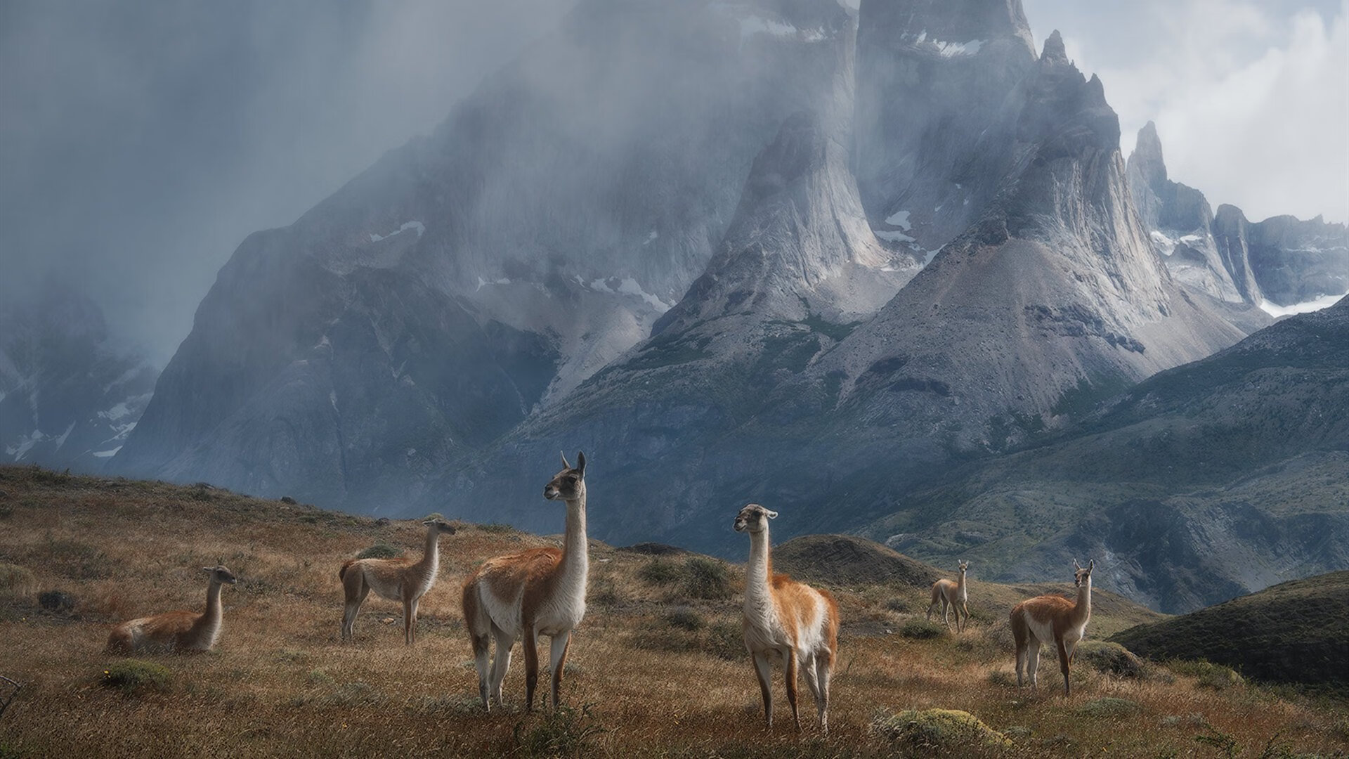 历史性法网夺冠后的传奇再续，西西帕斯总决赛上演统治级逆转，开启新时代