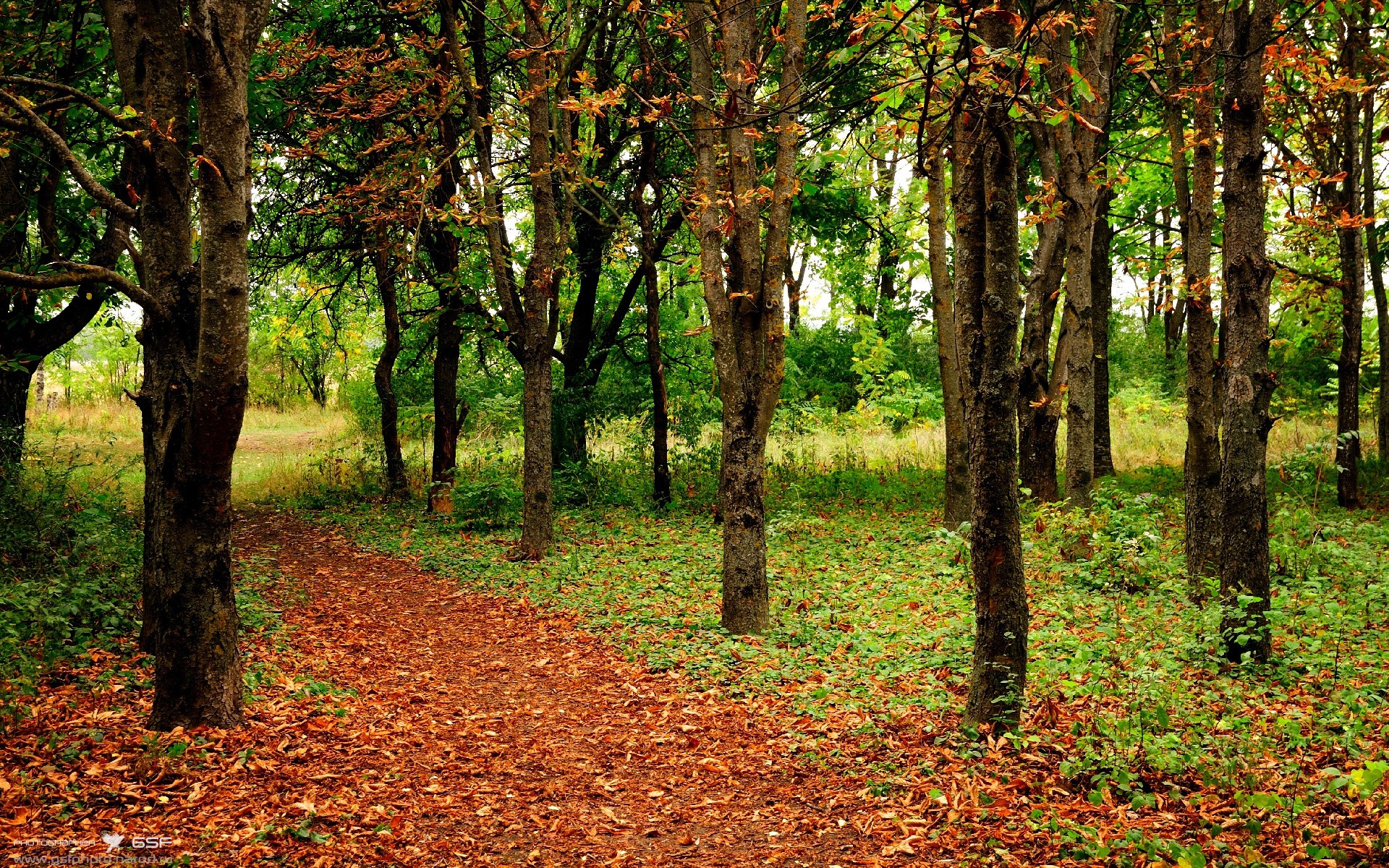 航海家归来，C罗率领葡萄牙战舰在梦剧场完成历史性征服