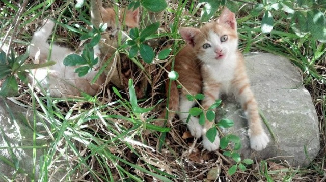 59分57秒的等待,那一记转身,静默的网缚住了奔涌的江
