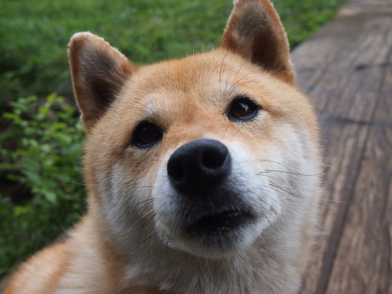 终结者巴萨与孤胆英雄布鲁诺，一场定义团队与个人的夜晚