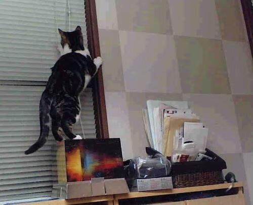 个体闪耀与体系革命,足球世界永远的双重奏