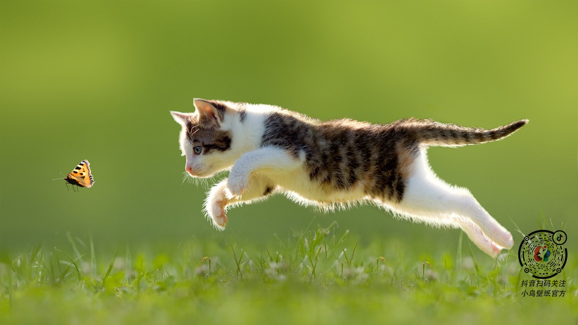 圣西罗的呐喊与忏悔，当阿克从地狱爬回人间