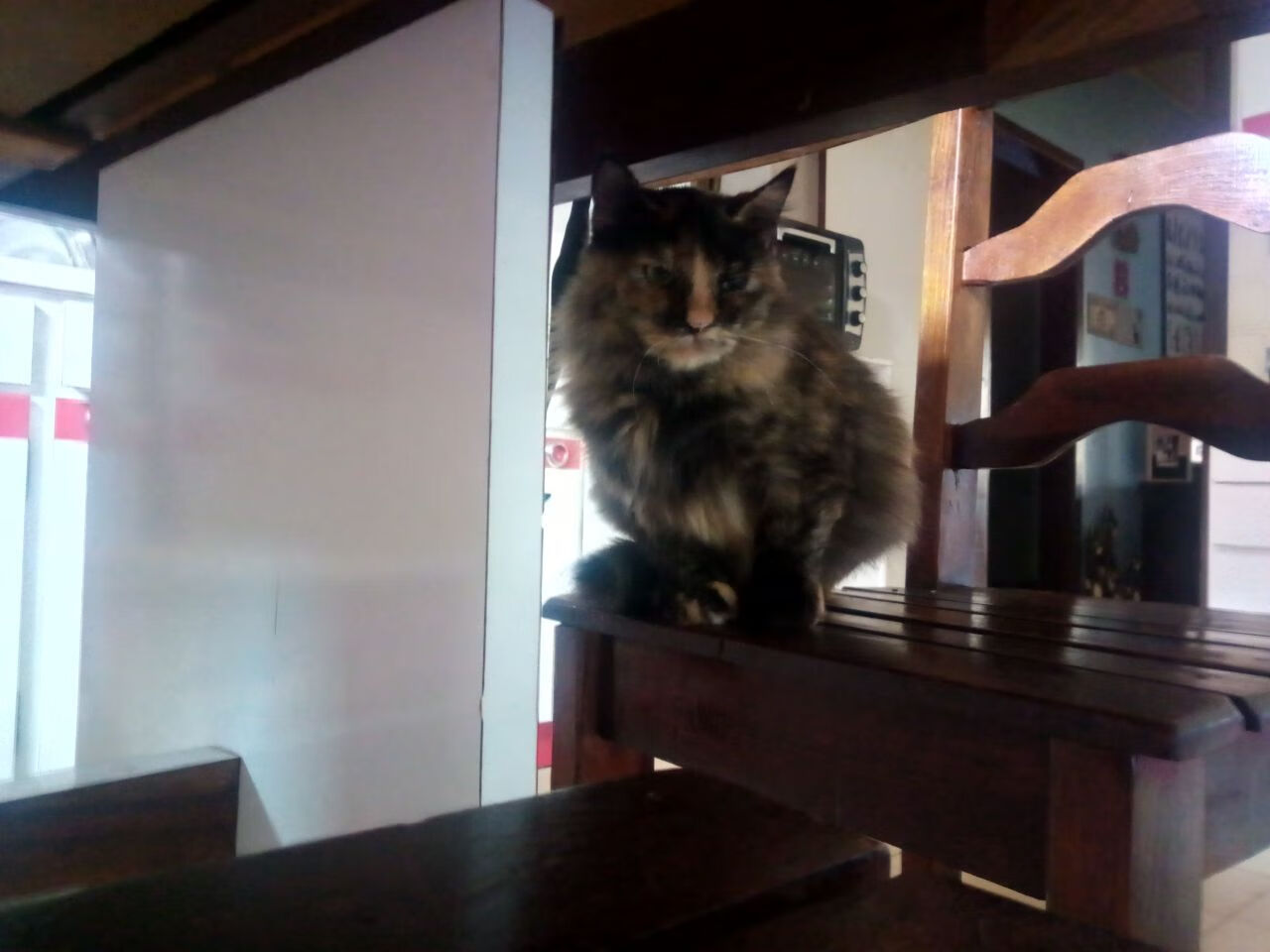 登月计划，爱德华兹在休斯顿的重力场中升起