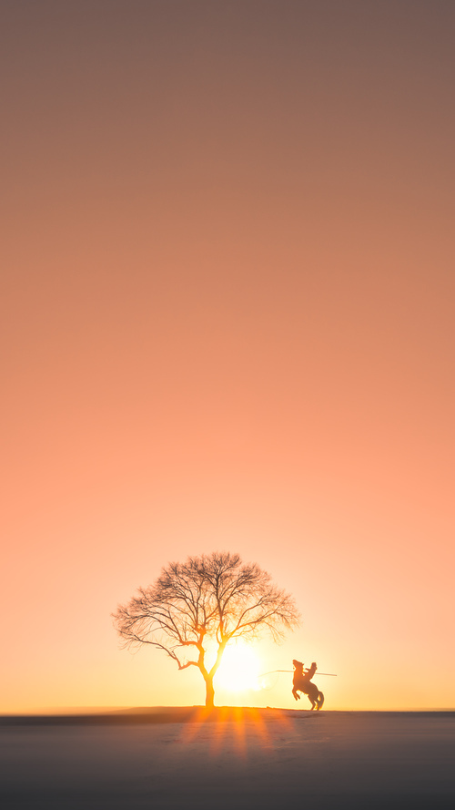 跨界风暴，快船横扫篮网，德罗赞英超争冠显神威