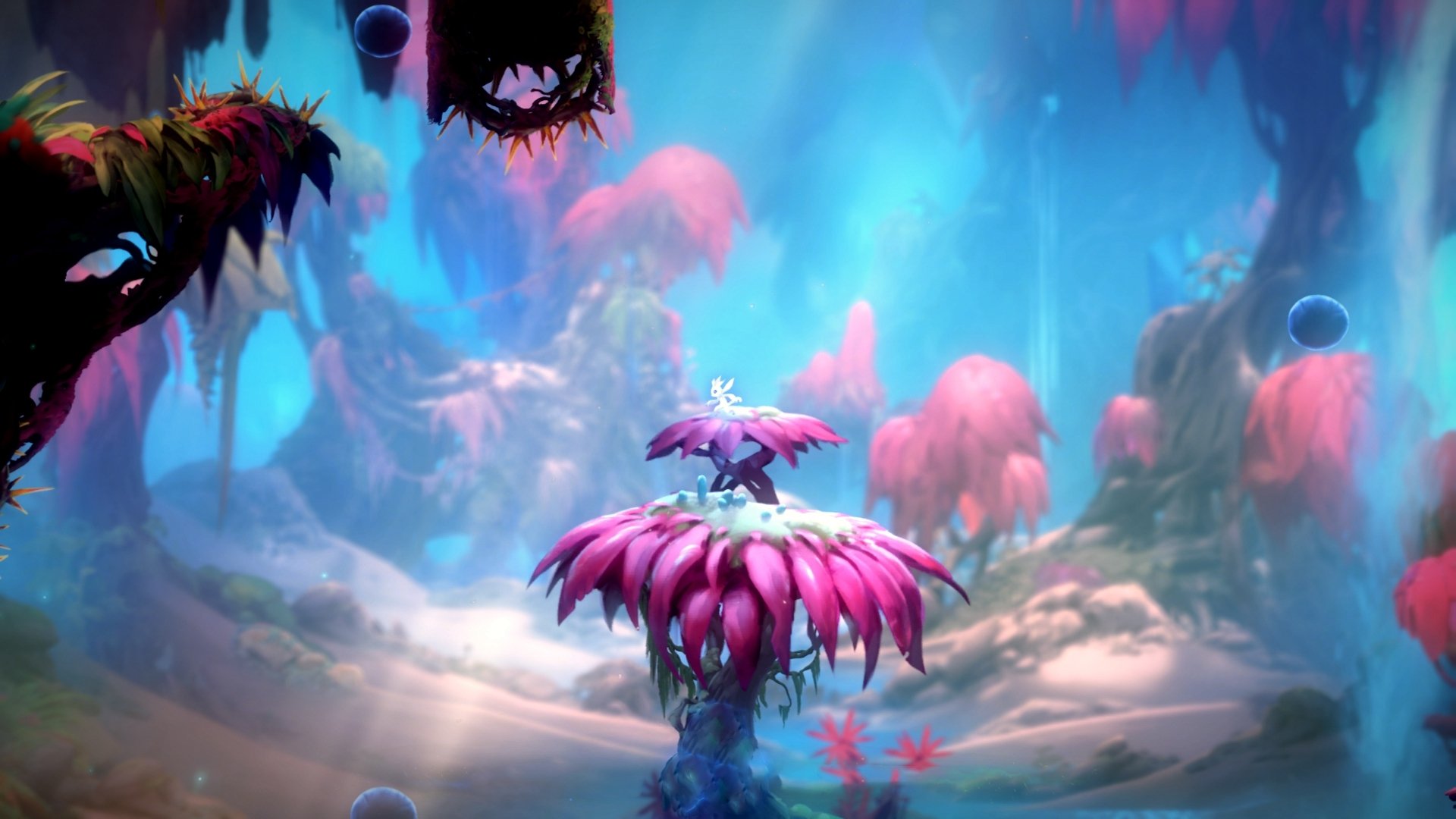 维尼修斯一剑封喉！安哥拉爆冷力克爱尔兰，历史性一刻定格绿茵场