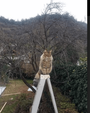 关键先生巴雷拉闪耀，莱比锡红牛力克马德里竞技