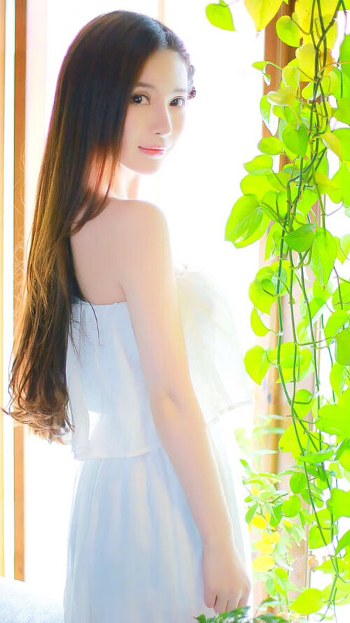 孤星耀世,2026世界杯C组,莫德里奇一人之力,如何碾碎匈牙利与日本的宿命对决