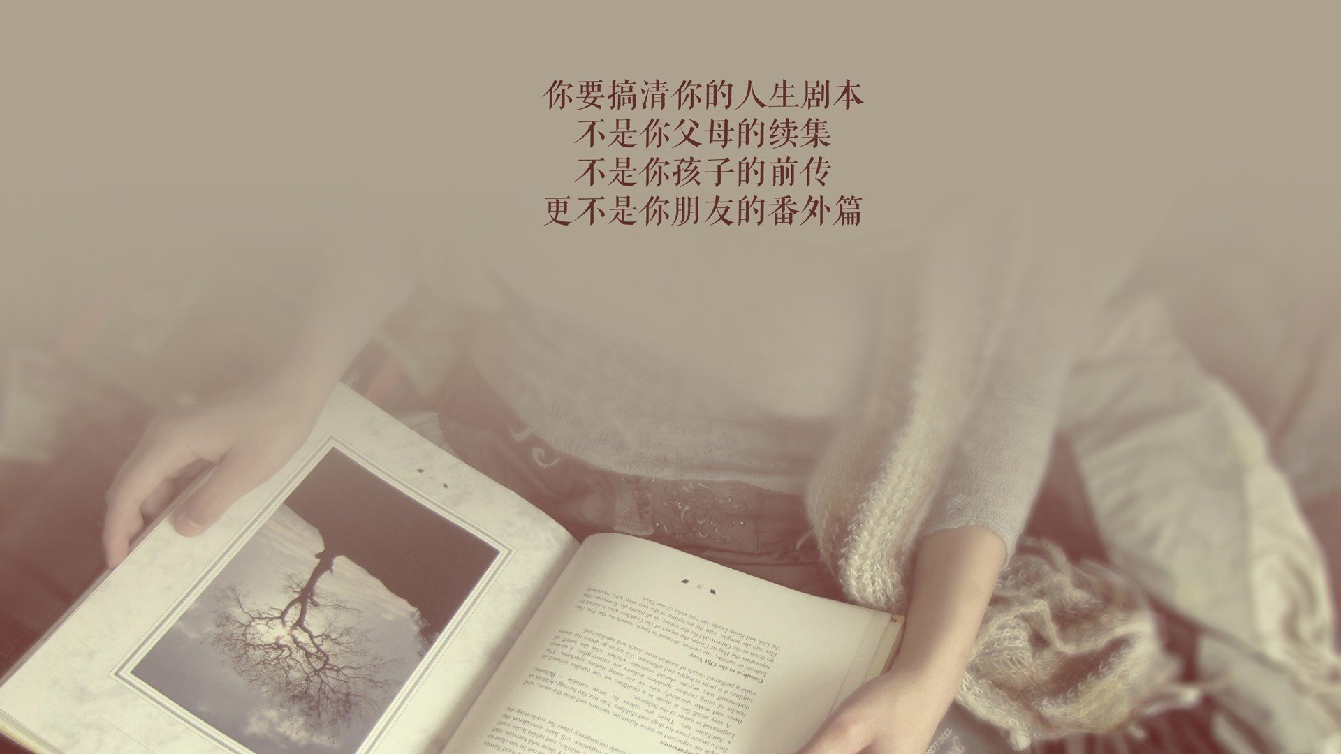 雷克雅未克的奇迹,2026世界杯小组赛,冰岛压哨绝杀捷克,哈基米用胜利书写足球唯一性