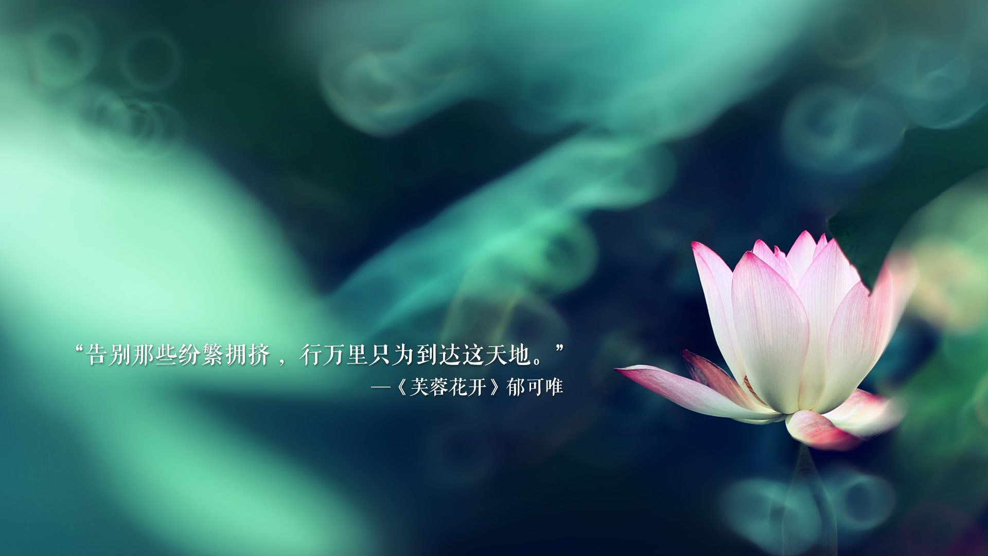 爱游戏官方-冰与火的奇迹，2026世界杯F组生死战，冰岛绝地反击横扫德国，坎塞洛独舞改写命运