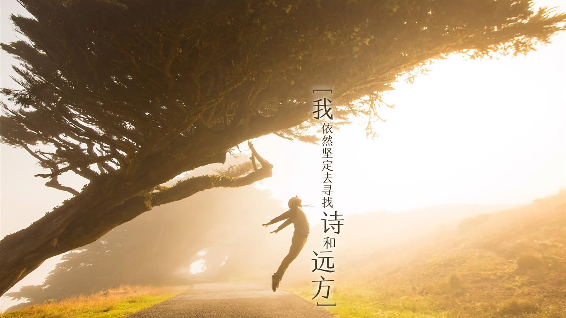 死亡之组唯一传奇,当托纳利率斯洛伐克击穿伊朗,2026世界杯H组写下最疯狂剧本
