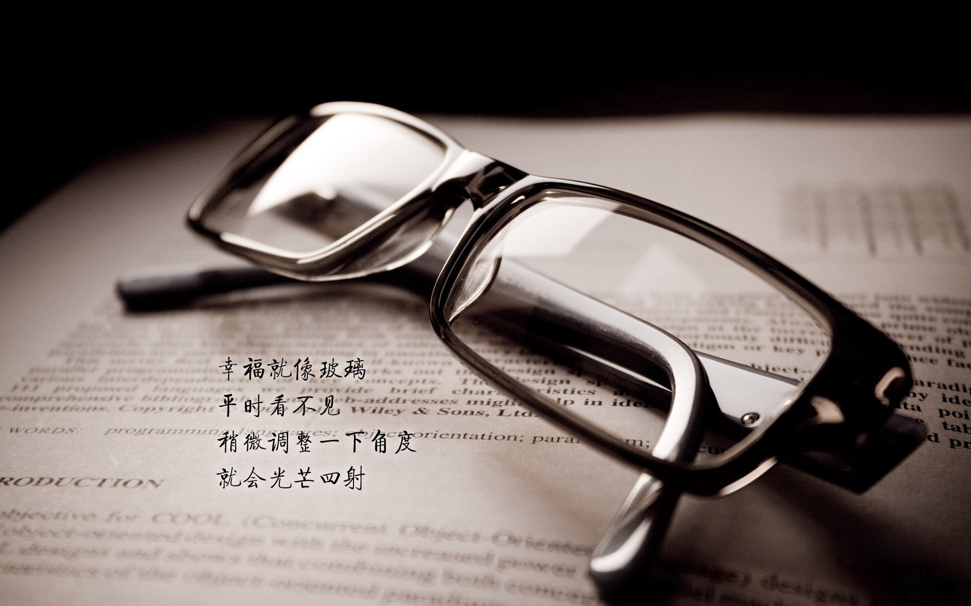 唯一性的绿茵战场,2026世界杯D组,孙兴慜用不屈意志定义荷兰与罗马尼亚的宿命对决