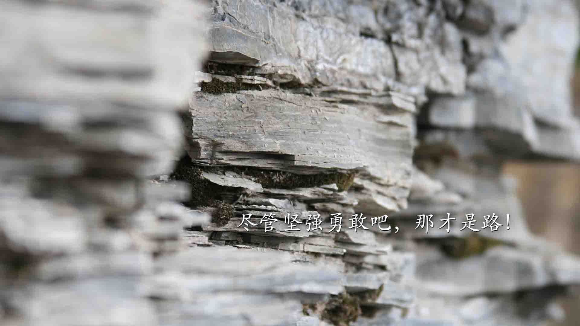 1.节奏熔炉，当哈兰德在A组点燃哥伦比亚与罗马尼亚的闪电战（突出节奏与个体爆点）